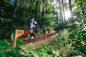 BIB: 
                            <button type="button" onclick="openModal(26626655)" class="btn btn-primary btn-sm float-right btn-popup" data-toggle="modal" data-target=".modal-high-quality">
                        <i class="fas fa-shopping-cart"></i> Add to Cart
                    </button>
                                            <button type="button" onclick="isThisMe(26626655, true)" class="btn btn-success btn-sm float-right btn-popup btn-isme hidden" data-toggle="tooltip" data-placement="bottom" title="นี่คือรูปของคุณใช่ไหม คลิกที่นี่เพื่อเอาเข้าอัลบั้ม">
                        <i class="fas fa-plus"></i> Add to album
                    </button>
                    <button type="button" onclick="isThisMe(26626655, false)" class="btn btn-warning btn-sm float-right btn-popup btn-isnotme hidden">
                        <i class="fas fa-ban"></i> Remove from album
                    </button>