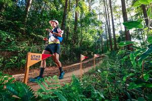 BIB: 
                            <button type="button" onclick="openModal(26627796)" class="btn btn-primary btn-sm float-right btn-popup" data-toggle="modal" data-target=".modal-high-quality">
                        <i class="fas fa-shopping-cart"></i> Add to Cart
                    </button>
                                            <button type="button" onclick="isThisMe(26627796, true)" class="btn btn-success btn-sm float-right btn-popup btn-isme hidden" data-toggle="tooltip" data-placement="bottom" title="นี่คือรูปของคุณใช่ไหม คลิกที่นี่เพื่อเอาเข้าอัลบั้ม">
                        <i class="fas fa-plus"></i> Add to album
                    </button>
                    <button type="button" onclick="isThisMe(26627796, false)" class="btn btn-warning btn-sm float-right btn-popup btn-isnotme hidden">
                        <i class="fas fa-ban"></i> Remove from album
                    </button>