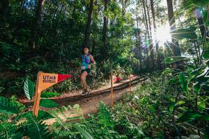 BIB: 
                            <button type="button" onclick="openModal(26626438)" class="btn btn-primary btn-sm float-right btn-popup" data-toggle="modal" data-target=".modal-high-quality">
                        <i class="fas fa-shopping-cart"></i> Add to Cart
                    </button>
                                            <button type="button" onclick="isThisMe(26626438, true)" class="btn btn-success btn-sm float-right btn-popup btn-isme hidden" data-toggle="tooltip" data-placement="bottom" title="นี่คือรูปของคุณใช่ไหม คลิกที่นี่เพื่อเอาเข้าอัลบั้ม">
                        <i class="fas fa-plus"></i> Add to album
                    </button>
                    <button type="button" onclick="isThisMe(26626438, false)" class="btn btn-warning btn-sm float-right btn-popup btn-isnotme hidden">
                        <i class="fas fa-ban"></i> Remove from album
                    </button>