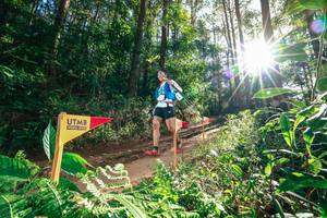 BIB: 
                            <button type="button" onclick="openModal(26626721)" class="btn btn-primary btn-sm float-right btn-popup" data-toggle="modal" data-target=".modal-high-quality">
                        <i class="fas fa-shopping-cart"></i> Add to Cart
                    </button>
                                            <button type="button" onclick="isThisMe(26626721, true)" class="btn btn-success btn-sm float-right btn-popup btn-isme hidden" data-toggle="tooltip" data-placement="bottom" title="นี่คือรูปของคุณใช่ไหม คลิกที่นี่เพื่อเอาเข้าอัลบั้ม">
                        <i class="fas fa-plus"></i> Add to album
                    </button>
                    <button type="button" onclick="isThisMe(26626721, false)" class="btn btn-warning btn-sm float-right btn-popup btn-isnotme hidden">
                        <i class="fas fa-ban"></i> Remove from album
                    </button>