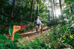 BIB: 
                            <button type="button" onclick="openModal(26626560)" class="btn btn-primary btn-sm float-right btn-popup" data-toggle="modal" data-target=".modal-high-quality">
                        <i class="fas fa-shopping-cart"></i> Add to Cart
                    </button>
                                            <button type="button" onclick="isThisMe(26626560, true)" class="btn btn-success btn-sm float-right btn-popup btn-isme hidden" data-toggle="tooltip" data-placement="bottom" title="นี่คือรูปของคุณใช่ไหม คลิกที่นี่เพื่อเอาเข้าอัลบั้ม">
                        <i class="fas fa-plus"></i> Add to album
                    </button>
                    <button type="button" onclick="isThisMe(26626560, false)" class="btn btn-warning btn-sm float-right btn-popup btn-isnotme hidden">
                        <i class="fas fa-ban"></i> Remove from album
                    </button>