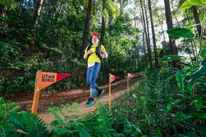 BIB: 
                            <button type="button" onclick="openModal(26627858)" class="btn btn-primary btn-sm float-right btn-popup" data-toggle="modal" data-target=".modal-high-quality">
                        <i class="fas fa-shopping-cart"></i> Add to Cart
                    </button>
                                            <button type="button" onclick="isThisMe(26627858, true)" class="btn btn-success btn-sm float-right btn-popup btn-isme hidden" data-toggle="tooltip" data-placement="bottom" title="นี่คือรูปของคุณใช่ไหม คลิกที่นี่เพื่อเอาเข้าอัลบั้ม">
                        <i class="fas fa-plus"></i> Add to album
                    </button>
                    <button type="button" onclick="isThisMe(26627858, false)" class="btn btn-warning btn-sm float-right btn-popup btn-isnotme hidden">
                        <i class="fas fa-ban"></i> Remove from album
                    </button>