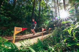 BIB: 
                            <button type="button" onclick="openModal(26627140)" class="btn btn-primary btn-sm float-right btn-popup" data-toggle="modal" data-target=".modal-high-quality">
                        <i class="fas fa-shopping-cart"></i> Add to Cart
                    </button>
                                            <button type="button" onclick="isThisMe(26627140, true)" class="btn btn-success btn-sm float-right btn-popup btn-isme hidden" data-toggle="tooltip" data-placement="bottom" title="นี่คือรูปของคุณใช่ไหม คลิกที่นี่เพื่อเอาเข้าอัลบั้ม">
                        <i class="fas fa-plus"></i> Add to album
                    </button>
                    <button type="button" onclick="isThisMe(26627140, false)" class="btn btn-warning btn-sm float-right btn-popup btn-isnotme hidden">
                        <i class="fas fa-ban"></i> Remove from album
                    </button>