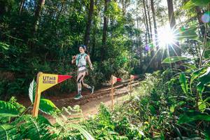 BIB: 
                            <button type="button" onclick="openModal(26626790)" class="btn btn-primary btn-sm float-right btn-popup" data-toggle="modal" data-target=".modal-high-quality">
                        <i class="fas fa-shopping-cart"></i> Add to Cart
                    </button>
                                            <button type="button" onclick="isThisMe(26626790, true)" class="btn btn-success btn-sm float-right btn-popup btn-isme hidden" data-toggle="tooltip" data-placement="bottom" title="นี่คือรูปของคุณใช่ไหม คลิกที่นี่เพื่อเอาเข้าอัลบั้ม">
                        <i class="fas fa-plus"></i> Add to album
                    </button>
                    <button type="button" onclick="isThisMe(26626790, false)" class="btn btn-warning btn-sm float-right btn-popup btn-isnotme hidden">
                        <i class="fas fa-ban"></i> Remove from album
                    </button>