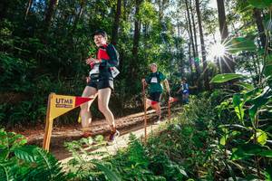 BIB: 
                            <button type="button" onclick="openModal(26626987)" class="btn btn-primary btn-sm float-right btn-popup" data-toggle="modal" data-target=".modal-high-quality">
                        <i class="fas fa-shopping-cart"></i> Add to Cart
                    </button>
                                            <button type="button" onclick="isThisMe(26626987, true)" class="btn btn-success btn-sm float-right btn-popup btn-isme hidden" data-toggle="tooltip" data-placement="bottom" title="นี่คือรูปของคุณใช่ไหม คลิกที่นี่เพื่อเอาเข้าอัลบั้ม">
                        <i class="fas fa-plus"></i> Add to album
                    </button>
                    <button type="button" onclick="isThisMe(26626987, false)" class="btn btn-warning btn-sm float-right btn-popup btn-isnotme hidden">
                        <i class="fas fa-ban"></i> Remove from album
                    </button>