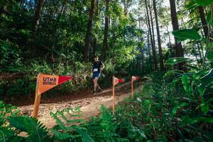 BIB: 
                            <button type="button" onclick="openModal(26627576)" class="btn btn-primary btn-sm float-right btn-popup" data-toggle="modal" data-target=".modal-high-quality">
                        <i class="fas fa-shopping-cart"></i> Add to Cart
                    </button>
                                            <button type="button" onclick="isThisMe(26627576, true)" class="btn btn-success btn-sm float-right btn-popup btn-isme hidden" data-toggle="tooltip" data-placement="bottom" title="นี่คือรูปของคุณใช่ไหม คลิกที่นี่เพื่อเอาเข้าอัลบั้ม">
                        <i class="fas fa-plus"></i> Add to album
                    </button>
                    <button type="button" onclick="isThisMe(26627576, false)" class="btn btn-warning btn-sm float-right btn-popup btn-isnotme hidden">
                        <i class="fas fa-ban"></i> Remove from album
                    </button>