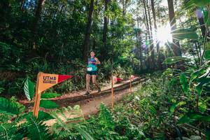 BIB: 
                            <button type="button" onclick="openModal(26626432)" class="btn btn-primary btn-sm float-right btn-popup" data-toggle="modal" data-target=".modal-high-quality">
                        <i class="fas fa-shopping-cart"></i> Add to Cart
                    </button>
                                            <button type="button" onclick="isThisMe(26626432, true)" class="btn btn-success btn-sm float-right btn-popup btn-isme hidden" data-toggle="tooltip" data-placement="bottom" title="นี่คือรูปของคุณใช่ไหม คลิกที่นี่เพื่อเอาเข้าอัลบั้ม">
                        <i class="fas fa-plus"></i> Add to album
                    </button>
                    <button type="button" onclick="isThisMe(26626432, false)" class="btn btn-warning btn-sm float-right btn-popup btn-isnotme hidden">
                        <i class="fas fa-ban"></i> Remove from album
                    </button>