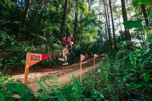 BIB: 
                            <button type="button" onclick="openModal(26627655)" class="btn btn-primary btn-sm float-right btn-popup" data-toggle="modal" data-target=".modal-high-quality">
                        <i class="fas fa-shopping-cart"></i> Add to Cart
                    </button>
                                            <button type="button" onclick="isThisMe(26627655, true)" class="btn btn-success btn-sm float-right btn-popup btn-isme hidden" data-toggle="tooltip" data-placement="bottom" title="นี่คือรูปของคุณใช่ไหม คลิกที่นี่เพื่อเอาเข้าอัลบั้ม">
                        <i class="fas fa-plus"></i> Add to album
                    </button>
                    <button type="button" onclick="isThisMe(26627655, false)" class="btn btn-warning btn-sm float-right btn-popup btn-isnotme hidden">
                        <i class="fas fa-ban"></i> Remove from album
                    </button>