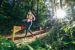 BIB: 
                            <button type="button" onclick="openModal(26627174)" class="btn btn-primary btn-sm float-right btn-popup" data-toggle="modal" data-target=".modal-high-quality">
                        <i class="fas fa-shopping-cart"></i> Add to Cart
                    </button>
                                            <button type="button" onclick="isThisMe(26627174, true)" class="btn btn-success btn-sm float-right btn-popup btn-isme hidden" data-toggle="tooltip" data-placement="bottom" title="นี่คือรูปของคุณใช่ไหม คลิกที่นี่เพื่อเอาเข้าอัลบั้ม">
                        <i class="fas fa-plus"></i> Add to album
                    </button>
                    <button type="button" onclick="isThisMe(26627174, false)" class="btn btn-warning btn-sm float-right btn-popup btn-isnotme hidden">
                        <i class="fas fa-ban"></i> Remove from album
                    </button>