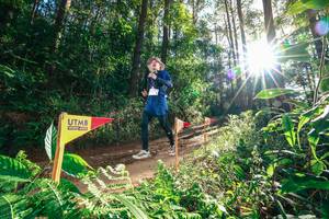 BIB: 
                            <button type="button" onclick="openModal(26626756)" class="btn btn-primary btn-sm float-right btn-popup" data-toggle="modal" data-target=".modal-high-quality">
                        <i class="fas fa-shopping-cart"></i> Add to Cart
                    </button>
                                            <button type="button" onclick="isThisMe(26626756, true)" class="btn btn-success btn-sm float-right btn-popup btn-isme hidden" data-toggle="tooltip" data-placement="bottom" title="นี่คือรูปของคุณใช่ไหม คลิกที่นี่เพื่อเอาเข้าอัลบั้ม">
                        <i class="fas fa-plus"></i> Add to album
                    </button>
                    <button type="button" onclick="isThisMe(26626756, false)" class="btn btn-warning btn-sm float-right btn-popup btn-isnotme hidden">
                        <i class="fas fa-ban"></i> Remove from album
                    </button>