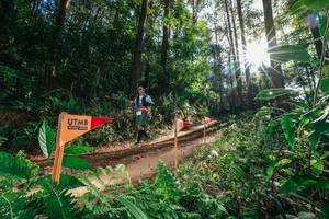 BIB: 
                            <button type="button" onclick="openModal(26626447)" class="btn btn-primary btn-sm float-right btn-popup" data-toggle="modal" data-target=".modal-high-quality">
                        <i class="fas fa-shopping-cart"></i> Add to Cart
                    </button>
                                            <button type="button" onclick="isThisMe(26626447, true)" class="btn btn-success btn-sm float-right btn-popup btn-isme hidden" data-toggle="tooltip" data-placement="bottom" title="นี่คือรูปของคุณใช่ไหม คลิกที่นี่เพื่อเอาเข้าอัลบั้ม">
                        <i class="fas fa-plus"></i> Add to album
                    </button>
                    <button type="button" onclick="isThisMe(26626447, false)" class="btn btn-warning btn-sm float-right btn-popup btn-isnotme hidden">
                        <i class="fas fa-ban"></i> Remove from album
                    </button>