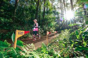 BIB: 
                            <button type="button" onclick="openModal(26626701)" class="btn btn-primary btn-sm float-right btn-popup" data-toggle="modal" data-target=".modal-high-quality">
                        <i class="fas fa-shopping-cart"></i> Add to Cart
                    </button>
                                            <button type="button" onclick="isThisMe(26626701, true)" class="btn btn-success btn-sm float-right btn-popup btn-isme hidden" data-toggle="tooltip" data-placement="bottom" title="นี่คือรูปของคุณใช่ไหม คลิกที่นี่เพื่อเอาเข้าอัลบั้ม">
                        <i class="fas fa-plus"></i> Add to album
                    </button>
                    <button type="button" onclick="isThisMe(26626701, false)" class="btn btn-warning btn-sm float-right btn-popup btn-isnotme hidden">
                        <i class="fas fa-ban"></i> Remove from album
                    </button>