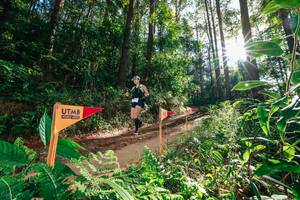 BIB: 
                            <button type="button" onclick="openModal(26626653)" class="btn btn-primary btn-sm float-right btn-popup" data-toggle="modal" data-target=".modal-high-quality">
                        <i class="fas fa-shopping-cart"></i> Add to Cart
                    </button>
                                            <button type="button" onclick="isThisMe(26626653, true)" class="btn btn-success btn-sm float-right btn-popup btn-isme hidden" data-toggle="tooltip" data-placement="bottom" title="นี่คือรูปของคุณใช่ไหม คลิกที่นี่เพื่อเอาเข้าอัลบั้ม">
                        <i class="fas fa-plus"></i> Add to album
                    </button>
                    <button type="button" onclick="isThisMe(26626653, false)" class="btn btn-warning btn-sm float-right btn-popup btn-isnotme hidden">
                        <i class="fas fa-ban"></i> Remove from album
                    </button>