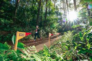 BIB: 
                            <button type="button" onclick="openModal(26626696)" class="btn btn-primary btn-sm float-right btn-popup" data-toggle="modal" data-target=".modal-high-quality">
                        <i class="fas fa-shopping-cart"></i> Add to Cart
                    </button>
                                            <button type="button" onclick="isThisMe(26626696, true)" class="btn btn-success btn-sm float-right btn-popup btn-isme hidden" data-toggle="tooltip" data-placement="bottom" title="นี่คือรูปของคุณใช่ไหม คลิกที่นี่เพื่อเอาเข้าอัลบั้ม">
                        <i class="fas fa-plus"></i> Add to album
                    </button>
                    <button type="button" onclick="isThisMe(26626696, false)" class="btn btn-warning btn-sm float-right btn-popup btn-isnotme hidden">
                        <i class="fas fa-ban"></i> Remove from album
                    </button>