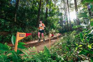 BIB: 
                            <button type="button" onclick="openModal(26626578)" class="btn btn-primary btn-sm float-right btn-popup" data-toggle="modal" data-target=".modal-high-quality">
                        <i class="fas fa-shopping-cart"></i> Add to Cart
                    </button>
                                            <button type="button" onclick="isThisMe(26626578, true)" class="btn btn-success btn-sm float-right btn-popup btn-isme hidden" data-toggle="tooltip" data-placement="bottom" title="นี่คือรูปของคุณใช่ไหม คลิกที่นี่เพื่อเอาเข้าอัลบั้ม">
                        <i class="fas fa-plus"></i> Add to album
                    </button>
                    <button type="button" onclick="isThisMe(26626578, false)" class="btn btn-warning btn-sm float-right btn-popup btn-isnotme hidden">
                        <i class="fas fa-ban"></i> Remove from album
                    </button>