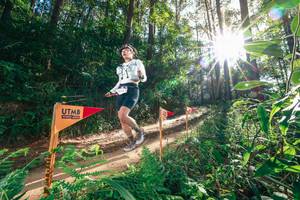 BIB: 
                            <button type="button" onclick="openModal(26626176)" class="btn btn-primary btn-sm float-right btn-popup" data-toggle="modal" data-target=".modal-high-quality">
                        <i class="fas fa-shopping-cart"></i> Add to Cart
                    </button>
                                            <button type="button" onclick="isThisMe(26626176, true)" class="btn btn-success btn-sm float-right btn-popup btn-isme hidden" data-toggle="tooltip" data-placement="bottom" title="นี่คือรูปของคุณใช่ไหม คลิกที่นี่เพื่อเอาเข้าอัลบั้ม">
                        <i class="fas fa-plus"></i> Add to album
                    </button>
                    <button type="button" onclick="isThisMe(26626176, false)" class="btn btn-warning btn-sm float-right btn-popup btn-isnotme hidden">
                        <i class="fas fa-ban"></i> Remove from album
                    </button>