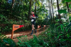 BIB: 
                            <button type="button" onclick="openModal(26627685)" class="btn btn-primary btn-sm float-right btn-popup" data-toggle="modal" data-target=".modal-high-quality">
                        <i class="fas fa-shopping-cart"></i> Add to Cart
                    </button>
                                            <button type="button" onclick="isThisMe(26627685, true)" class="btn btn-success btn-sm float-right btn-popup btn-isme hidden" data-toggle="tooltip" data-placement="bottom" title="นี่คือรูปของคุณใช่ไหม คลิกที่นี่เพื่อเอาเข้าอัลบั้ม">
                        <i class="fas fa-plus"></i> Add to album
                    </button>
                    <button type="button" onclick="isThisMe(26627685, false)" class="btn btn-warning btn-sm float-right btn-popup btn-isnotme hidden">
                        <i class="fas fa-ban"></i> Remove from album
                    </button>