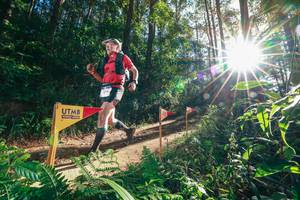 BIB: 
                            <button type="button" onclick="openModal(26627189)" class="btn btn-primary btn-sm float-right btn-popup" data-toggle="modal" data-target=".modal-high-quality">
                        <i class="fas fa-shopping-cart"></i> Add to Cart
                    </button>
                                            <button type="button" onclick="isThisMe(26627189, true)" class="btn btn-success btn-sm float-right btn-popup btn-isme hidden" data-toggle="tooltip" data-placement="bottom" title="นี่คือรูปของคุณใช่ไหม คลิกที่นี่เพื่อเอาเข้าอัลบั้ม">
                        <i class="fas fa-plus"></i> Add to album
                    </button>
                    <button type="button" onclick="isThisMe(26627189, false)" class="btn btn-warning btn-sm float-right btn-popup btn-isnotme hidden">
                        <i class="fas fa-ban"></i> Remove from album
                    </button>