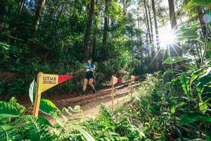 BIB: 
                            <button type="button" onclick="openModal(26626796)" class="btn btn-primary btn-sm float-right btn-popup" data-toggle="modal" data-target=".modal-high-quality">
                        <i class="fas fa-shopping-cart"></i> Add to Cart
                    </button>
                                            <button type="button" onclick="isThisMe(26626796, true)" class="btn btn-success btn-sm float-right btn-popup btn-isme hidden" data-toggle="tooltip" data-placement="bottom" title="นี่คือรูปของคุณใช่ไหม คลิกที่นี่เพื่อเอาเข้าอัลบั้ม">
                        <i class="fas fa-plus"></i> Add to album
                    </button>
                    <button type="button" onclick="isThisMe(26626796, false)" class="btn btn-warning btn-sm float-right btn-popup btn-isnotme hidden">
                        <i class="fas fa-ban"></i> Remove from album
                    </button>