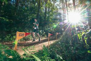 BIB: 
                            <button type="button" onclick="openModal(26627306)" class="btn btn-primary btn-sm float-right btn-popup" data-toggle="modal" data-target=".modal-high-quality">
                        <i class="fas fa-shopping-cart"></i> Add to Cart
                    </button>
                                            <button type="button" onclick="isThisMe(26627306, true)" class="btn btn-success btn-sm float-right btn-popup btn-isme hidden" data-toggle="tooltip" data-placement="bottom" title="นี่คือรูปของคุณใช่ไหม คลิกที่นี่เพื่อเอาเข้าอัลบั้ม">
                        <i class="fas fa-plus"></i> Add to album
                    </button>
                    <button type="button" onclick="isThisMe(26627306, false)" class="btn btn-warning btn-sm float-right btn-popup btn-isnotme hidden">
                        <i class="fas fa-ban"></i> Remove from album
                    </button>