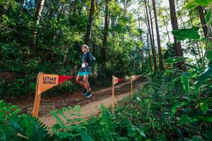 BIB: 
                            <button type="button" onclick="openModal(26628117)" class="btn btn-primary btn-sm float-right btn-popup" data-toggle="modal" data-target=".modal-high-quality">
                        <i class="fas fa-shopping-cart"></i> Add to Cart
                    </button>
                                            <button type="button" onclick="isThisMe(26628117, true)" class="btn btn-success btn-sm float-right btn-popup btn-isme hidden" data-toggle="tooltip" data-placement="bottom" title="นี่คือรูปของคุณใช่ไหม คลิกที่นี่เพื่อเอาเข้าอัลบั้ม">
                        <i class="fas fa-plus"></i> Add to album
                    </button>
                    <button type="button" onclick="isThisMe(26628117, false)" class="btn btn-warning btn-sm float-right btn-popup btn-isnotme hidden">
                        <i class="fas fa-ban"></i> Remove from album
                    </button>