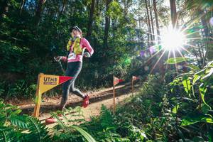 BIB: 
                            <button type="button" onclick="openModal(26627180)" class="btn btn-primary btn-sm float-right btn-popup" data-toggle="modal" data-target=".modal-high-quality">
                        <i class="fas fa-shopping-cart"></i> Add to Cart
                    </button>
                                            <button type="button" onclick="isThisMe(26627180, true)" class="btn btn-success btn-sm float-right btn-popup btn-isme hidden" data-toggle="tooltip" data-placement="bottom" title="นี่คือรูปของคุณใช่ไหม คลิกที่นี่เพื่อเอาเข้าอัลบั้ม">
                        <i class="fas fa-plus"></i> Add to album
                    </button>
                    <button type="button" onclick="isThisMe(26627180, false)" class="btn btn-warning btn-sm float-right btn-popup btn-isnotme hidden">
                        <i class="fas fa-ban"></i> Remove from album
                    </button>