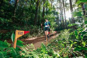 BIB: 
                            <button type="button" onclick="openModal(26626662)" class="btn btn-primary btn-sm float-right btn-popup" data-toggle="modal" data-target=".modal-high-quality">
                        <i class="fas fa-shopping-cart"></i> Add to Cart
                    </button>
                                            <button type="button" onclick="isThisMe(26626662, true)" class="btn btn-success btn-sm float-right btn-popup btn-isme hidden" data-toggle="tooltip" data-placement="bottom" title="นี่คือรูปของคุณใช่ไหม คลิกที่นี่เพื่อเอาเข้าอัลบั้ม">
                        <i class="fas fa-plus"></i> Add to album
                    </button>
                    <button type="button" onclick="isThisMe(26626662, false)" class="btn btn-warning btn-sm float-right btn-popup btn-isnotme hidden">
                        <i class="fas fa-ban"></i> Remove from album
                    </button>