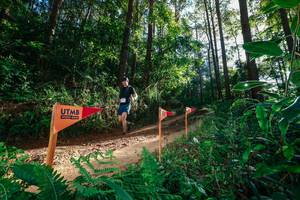 BIB: 
                            <button type="button" onclick="openModal(26627581)" class="btn btn-primary btn-sm float-right btn-popup" data-toggle="modal" data-target=".modal-high-quality">
                        <i class="fas fa-shopping-cart"></i> Add to Cart
                    </button>
                                            <button type="button" onclick="isThisMe(26627581, true)" class="btn btn-success btn-sm float-right btn-popup btn-isme hidden" data-toggle="tooltip" data-placement="bottom" title="นี่คือรูปของคุณใช่ไหม คลิกที่นี่เพื่อเอาเข้าอัลบั้ม">
                        <i class="fas fa-plus"></i> Add to album
                    </button>
                    <button type="button" onclick="isThisMe(26627581, false)" class="btn btn-warning btn-sm float-right btn-popup btn-isnotme hidden">
                        <i class="fas fa-ban"></i> Remove from album
                    </button>