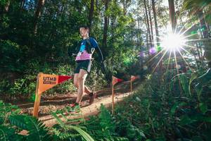 BIB: 
                            <button type="button" onclick="openModal(26627423)" class="btn btn-primary btn-sm float-right btn-popup" data-toggle="modal" data-target=".modal-high-quality">
                        <i class="fas fa-shopping-cart"></i> Add to Cart
                    </button>
                                            <button type="button" onclick="isThisMe(26627423, true)" class="btn btn-success btn-sm float-right btn-popup btn-isme hidden" data-toggle="tooltip" data-placement="bottom" title="นี่คือรูปของคุณใช่ไหม คลิกที่นี่เพื่อเอาเข้าอัลบั้ม">
                        <i class="fas fa-plus"></i> Add to album
                    </button>
                    <button type="button" onclick="isThisMe(26627423, false)" class="btn btn-warning btn-sm float-right btn-popup btn-isnotme hidden">
                        <i class="fas fa-ban"></i> Remove from album
                    </button>