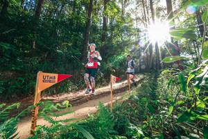 BIB: 
                            <button type="button" onclick="openModal(26626178)" class="btn btn-primary btn-sm float-right btn-popup" data-toggle="modal" data-target=".modal-high-quality">
                        <i class="fas fa-shopping-cart"></i> Add to Cart
                    </button>
                                            <button type="button" onclick="isThisMe(26626178, true)" class="btn btn-success btn-sm float-right btn-popup btn-isme hidden" data-toggle="tooltip" data-placement="bottom" title="นี่คือรูปของคุณใช่ไหม คลิกที่นี่เพื่อเอาเข้าอัลบั้ม">
                        <i class="fas fa-plus"></i> Add to album
                    </button>
                    <button type="button" onclick="isThisMe(26626178, false)" class="btn btn-warning btn-sm float-right btn-popup btn-isnotme hidden">
                        <i class="fas fa-ban"></i> Remove from album
                    </button>