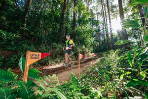 BIB: 
                            <button type="button" onclick="openModal(26626603)" class="btn btn-primary btn-sm float-right btn-popup" data-toggle="modal" data-target=".modal-high-quality">
                        <i class="fas fa-shopping-cart"></i> Add to Cart
                    </button>
                                            <button type="button" onclick="isThisMe(26626603, true)" class="btn btn-success btn-sm float-right btn-popup btn-isme hidden" data-toggle="tooltip" data-placement="bottom" title="นี่คือรูปของคุณใช่ไหม คลิกที่นี่เพื่อเอาเข้าอัลบั้ม">
                        <i class="fas fa-plus"></i> Add to album
                    </button>
                    <button type="button" onclick="isThisMe(26626603, false)" class="btn btn-warning btn-sm float-right btn-popup btn-isnotme hidden">
                        <i class="fas fa-ban"></i> Remove from album
                    </button>