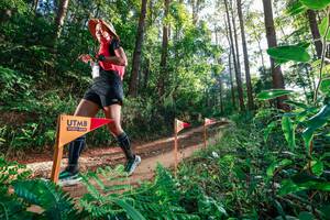 BIB: 
                            <button type="button" onclick="openModal(26627728)" class="btn btn-primary btn-sm float-right btn-popup" data-toggle="modal" data-target=".modal-high-quality">
                        <i class="fas fa-shopping-cart"></i> Add to Cart
                    </button>
                                            <button type="button" onclick="isThisMe(26627728, true)" class="btn btn-success btn-sm float-right btn-popup btn-isme hidden" data-toggle="tooltip" data-placement="bottom" title="นี่คือรูปของคุณใช่ไหม คลิกที่นี่เพื่อเอาเข้าอัลบั้ม">
                        <i class="fas fa-plus"></i> Add to album
                    </button>
                    <button type="button" onclick="isThisMe(26627728, false)" class="btn btn-warning btn-sm float-right btn-popup btn-isnotme hidden">
                        <i class="fas fa-ban"></i> Remove from album
                    </button>