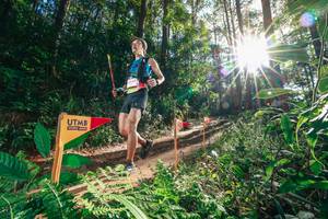 BIB: 
                            <button type="button" onclick="openModal(26626303)" class="btn btn-primary btn-sm float-right btn-popup" data-toggle="modal" data-target=".modal-high-quality">
                        <i class="fas fa-shopping-cart"></i> Add to Cart
                    </button>
                                            <button type="button" onclick="isThisMe(26626303, true)" class="btn btn-success btn-sm float-right btn-popup btn-isme hidden" data-toggle="tooltip" data-placement="bottom" title="นี่คือรูปของคุณใช่ไหม คลิกที่นี่เพื่อเอาเข้าอัลบั้ม">
                        <i class="fas fa-plus"></i> Add to album
                    </button>
                    <button type="button" onclick="isThisMe(26626303, false)" class="btn btn-warning btn-sm float-right btn-popup btn-isnotme hidden">
                        <i class="fas fa-ban"></i> Remove from album
                    </button>