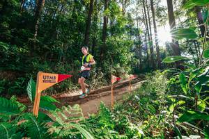 BIB: 
                            <button type="button" onclick="openModal(26626615)" class="btn btn-primary btn-sm float-right btn-popup" data-toggle="modal" data-target=".modal-high-quality">
                        <i class="fas fa-shopping-cart"></i> Add to Cart
                    </button>
                                            <button type="button" onclick="isThisMe(26626615, true)" class="btn btn-success btn-sm float-right btn-popup btn-isme hidden" data-toggle="tooltip" data-placement="bottom" title="นี่คือรูปของคุณใช่ไหม คลิกที่นี่เพื่อเอาเข้าอัลบั้ม">
                        <i class="fas fa-plus"></i> Add to album
                    </button>
                    <button type="button" onclick="isThisMe(26626615, false)" class="btn btn-warning btn-sm float-right btn-popup btn-isnotme hidden">
                        <i class="fas fa-ban"></i> Remove from album
                    </button>