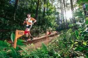 BIB: 
                            <button type="button" onclick="openModal(26626595)" class="btn btn-primary btn-sm float-right btn-popup" data-toggle="modal" data-target=".modal-high-quality">
                        <i class="fas fa-shopping-cart"></i> Add to Cart
                    </button>
                                            <button type="button" onclick="isThisMe(26626595, true)" class="btn btn-success btn-sm float-right btn-popup btn-isme hidden" data-toggle="tooltip" data-placement="bottom" title="นี่คือรูปของคุณใช่ไหม คลิกที่นี่เพื่อเอาเข้าอัลบั้ม">
                        <i class="fas fa-plus"></i> Add to album
                    </button>
                    <button type="button" onclick="isThisMe(26626595, false)" class="btn btn-warning btn-sm float-right btn-popup btn-isnotme hidden">
                        <i class="fas fa-ban"></i> Remove from album
                    </button>