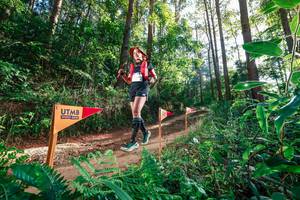 BIB: 
                            <button type="button" onclick="openModal(26627724)" class="btn btn-primary btn-sm float-right btn-popup" data-toggle="modal" data-target=".modal-high-quality">
                        <i class="fas fa-shopping-cart"></i> Add to Cart
                    </button>
                                            <button type="button" onclick="isThisMe(26627724, true)" class="btn btn-success btn-sm float-right btn-popup btn-isme hidden" data-toggle="tooltip" data-placement="bottom" title="นี่คือรูปของคุณใช่ไหม คลิกที่นี่เพื่อเอาเข้าอัลบั้ม">
                        <i class="fas fa-plus"></i> Add to album
                    </button>
                    <button type="button" onclick="isThisMe(26627724, false)" class="btn btn-warning btn-sm float-right btn-popup btn-isnotme hidden">
                        <i class="fas fa-ban"></i> Remove from album
                    </button>