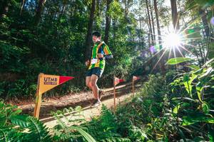 BIB: 
                            <button type="button" onclick="openModal(26627127)" class="btn btn-primary btn-sm float-right btn-popup" data-toggle="modal" data-target=".modal-high-quality">
                        <i class="fas fa-shopping-cart"></i> Add to Cart
                    </button>
                                            <button type="button" onclick="isThisMe(26627127, true)" class="btn btn-success btn-sm float-right btn-popup btn-isme hidden" data-toggle="tooltip" data-placement="bottom" title="นี่คือรูปของคุณใช่ไหม คลิกที่นี่เพื่อเอาเข้าอัลบั้ม">
                        <i class="fas fa-plus"></i> Add to album
                    </button>
                    <button type="button" onclick="isThisMe(26627127, false)" class="btn btn-warning btn-sm float-right btn-popup btn-isnotme hidden">
                        <i class="fas fa-ban"></i> Remove from album
                    </button>