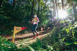 BIB: 
                            <button type="button" onclick="openModal(26627175)" class="btn btn-primary btn-sm float-right btn-popup" data-toggle="modal" data-target=".modal-high-quality">
                        <i class="fas fa-shopping-cart"></i> Add to Cart
                    </button>
                                            <button type="button" onclick="isThisMe(26627175, true)" class="btn btn-success btn-sm float-right btn-popup btn-isme hidden" data-toggle="tooltip" data-placement="bottom" title="นี่คือรูปของคุณใช่ไหม คลิกที่นี่เพื่อเอาเข้าอัลบั้ม">
                        <i class="fas fa-plus"></i> Add to album
                    </button>
                    <button type="button" onclick="isThisMe(26627175, false)" class="btn btn-warning btn-sm float-right btn-popup btn-isnotme hidden">
                        <i class="fas fa-ban"></i> Remove from album
                    </button>