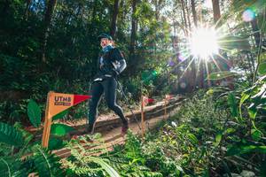 BIB: 
                            <button type="button" onclick="openModal(26626271)" class="btn btn-primary btn-sm float-right btn-popup" data-toggle="modal" data-target=".modal-high-quality">
                        <i class="fas fa-shopping-cart"></i> Add to Cart
                    </button>
                                            <button type="button" onclick="isThisMe(26626271, true)" class="btn btn-success btn-sm float-right btn-popup btn-isme hidden" data-toggle="tooltip" data-placement="bottom" title="นี่คือรูปของคุณใช่ไหม คลิกที่นี่เพื่อเอาเข้าอัลบั้ม">
                        <i class="fas fa-plus"></i> Add to album
                    </button>
                    <button type="button" onclick="isThisMe(26626271, false)" class="btn btn-warning btn-sm float-right btn-popup btn-isnotme hidden">
                        <i class="fas fa-ban"></i> Remove from album
                    </button>