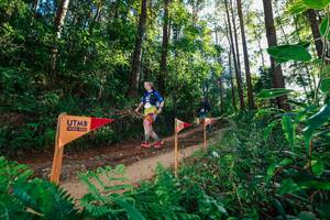 BIB: 
                            <button type="button" onclick="openModal(26628099)" class="btn btn-primary btn-sm float-right btn-popup" data-toggle="modal" data-target=".modal-high-quality">
                        <i class="fas fa-shopping-cart"></i> Add to Cart
                    </button>
                                            <button type="button" onclick="isThisMe(26628099, true)" class="btn btn-success btn-sm float-right btn-popup btn-isme hidden" data-toggle="tooltip" data-placement="bottom" title="นี่คือรูปของคุณใช่ไหม คลิกที่นี่เพื่อเอาเข้าอัลบั้ม">
                        <i class="fas fa-plus"></i> Add to album
                    </button>
                    <button type="button" onclick="isThisMe(26628099, false)" class="btn btn-warning btn-sm float-right btn-popup btn-isnotme hidden">
                        <i class="fas fa-ban"></i> Remove from album
                    </button>