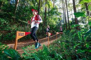 BIB: 
                            <button type="button" onclick="openModal(26627782)" class="btn btn-primary btn-sm float-right btn-popup" data-toggle="modal" data-target=".modal-high-quality">
                        <i class="fas fa-shopping-cart"></i> Add to Cart
                    </button>
                                            <button type="button" onclick="isThisMe(26627782, true)" class="btn btn-success btn-sm float-right btn-popup btn-isme hidden" data-toggle="tooltip" data-placement="bottom" title="นี่คือรูปของคุณใช่ไหม คลิกที่นี่เพื่อเอาเข้าอัลบั้ม">
                        <i class="fas fa-plus"></i> Add to album
                    </button>
                    <button type="button" onclick="isThisMe(26627782, false)" class="btn btn-warning btn-sm float-right btn-popup btn-isnotme hidden">
                        <i class="fas fa-ban"></i> Remove from album
                    </button>