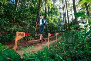 BIB: 
                            <button type="button" onclick="openModal(26627927)" class="btn btn-primary btn-sm float-right btn-popup" data-toggle="modal" data-target=".modal-high-quality">
                        <i class="fas fa-shopping-cart"></i> Add to Cart
                    </button>
                                            <button type="button" onclick="isThisMe(26627927, true)" class="btn btn-success btn-sm float-right btn-popup btn-isme hidden" data-toggle="tooltip" data-placement="bottom" title="นี่คือรูปของคุณใช่ไหม คลิกที่นี่เพื่อเอาเข้าอัลบั้ม">
                        <i class="fas fa-plus"></i> Add to album
                    </button>
                    <button type="button" onclick="isThisMe(26627927, false)" class="btn btn-warning btn-sm float-right btn-popup btn-isnotme hidden">
                        <i class="fas fa-ban"></i> Remove from album
                    </button>