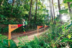 BIB: 
                            <button type="button" onclick="openModal(26623649)" class="btn btn-primary btn-sm float-right btn-popup" data-toggle="modal" data-target=".modal-high-quality">
                        <i class="fas fa-shopping-cart"></i> Add to Cart
                    </button>
                                            <button type="button" onclick="isThisMe(26623649, true)" class="btn btn-success btn-sm float-right btn-popup btn-isme hidden" data-toggle="tooltip" data-placement="bottom" title="นี่คือรูปของคุณใช่ไหม คลิกที่นี่เพื่อเอาเข้าอัลบั้ม">
                        <i class="fas fa-plus"></i> Add to album
                    </button>
                    <button type="button" onclick="isThisMe(26623649, false)" class="btn btn-warning btn-sm float-right btn-popup btn-isnotme hidden">
                        <i class="fas fa-ban"></i> Remove from album
                    </button>