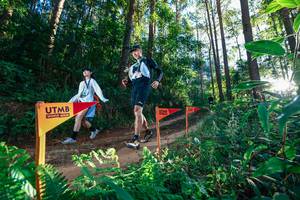 BIB: 
                            <button type="button" onclick="openModal(26624879)" class="btn btn-primary btn-sm float-right btn-popup" data-toggle="modal" data-target=".modal-high-quality">
                        <i class="fas fa-shopping-cart"></i> Add to Cart
                    </button>
                                            <button type="button" onclick="isThisMe(26624879, true)" class="btn btn-success btn-sm float-right btn-popup btn-isme hidden" data-toggle="tooltip" data-placement="bottom" title="นี่คือรูปของคุณใช่ไหม คลิกที่นี่เพื่อเอาเข้าอัลบั้ม">
                        <i class="fas fa-plus"></i> Add to album
                    </button>
                    <button type="button" onclick="isThisMe(26624879, false)" class="btn btn-warning btn-sm float-right btn-popup btn-isnotme hidden">
                        <i class="fas fa-ban"></i> Remove from album
                    </button>