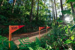 BIB: 
                            <button type="button" onclick="openModal(26623722)" class="btn btn-primary btn-sm float-right btn-popup" data-toggle="modal" data-target=".modal-high-quality">
                        <i class="fas fa-shopping-cart"></i> Add to Cart
                    </button>
                                            <button type="button" onclick="isThisMe(26623722, true)" class="btn btn-success btn-sm float-right btn-popup btn-isme hidden" data-toggle="tooltip" data-placement="bottom" title="นี่คือรูปของคุณใช่ไหม คลิกที่นี่เพื่อเอาเข้าอัลบั้ม">
                        <i class="fas fa-plus"></i> Add to album
                    </button>
                    <button type="button" onclick="isThisMe(26623722, false)" class="btn btn-warning btn-sm float-right btn-popup btn-isnotme hidden">
                        <i class="fas fa-ban"></i> Remove from album
                    </button>