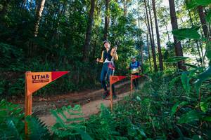 BIB: 
                            <button type="button" onclick="openModal(26625107)" class="btn btn-primary btn-sm float-right btn-popup" data-toggle="modal" data-target=".modal-high-quality">
                        <i class="fas fa-shopping-cart"></i> Add to Cart
                    </button>
                                            <button type="button" onclick="isThisMe(26625107, true)" class="btn btn-success btn-sm float-right btn-popup btn-isme hidden" data-toggle="tooltip" data-placement="bottom" title="นี่คือรูปของคุณใช่ไหม คลิกที่นี่เพื่อเอาเข้าอัลบั้ม">
                        <i class="fas fa-plus"></i> Add to album
                    </button>
                    <button type="button" onclick="isThisMe(26625107, false)" class="btn btn-warning btn-sm float-right btn-popup btn-isnotme hidden">
                        <i class="fas fa-ban"></i> Remove from album
                    </button>