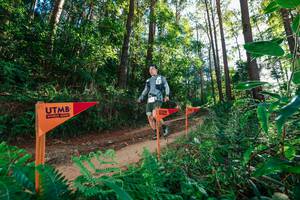 BIB: 
                            <button type="button" onclick="openModal(26623547)" class="btn btn-primary btn-sm float-right btn-popup" data-toggle="modal" data-target=".modal-high-quality">
                        <i class="fas fa-shopping-cart"></i> Add to Cart
                    </button>
                                            <button type="button" onclick="isThisMe(26623547, true)" class="btn btn-success btn-sm float-right btn-popup btn-isme hidden" data-toggle="tooltip" data-placement="bottom" title="นี่คือรูปของคุณใช่ไหม คลิกที่นี่เพื่อเอาเข้าอัลบั้ม">
                        <i class="fas fa-plus"></i> Add to album
                    </button>
                    <button type="button" onclick="isThisMe(26623547, false)" class="btn btn-warning btn-sm float-right btn-popup btn-isnotme hidden">
                        <i class="fas fa-ban"></i> Remove from album
                    </button>