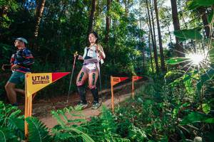 BIB: 
                            <button type="button" onclick="openModal(26624473)" class="btn btn-primary btn-sm float-right btn-popup" data-toggle="modal" data-target=".modal-high-quality">
                        <i class="fas fa-shopping-cart"></i> Add to Cart
                    </button>
                                            <button type="button" onclick="isThisMe(26624473, true)" class="btn btn-success btn-sm float-right btn-popup btn-isme hidden" data-toggle="tooltip" data-placement="bottom" title="นี่คือรูปของคุณใช่ไหม คลิกที่นี่เพื่อเอาเข้าอัลบั้ม">
                        <i class="fas fa-plus"></i> Add to album
                    </button>
                    <button type="button" onclick="isThisMe(26624473, false)" class="btn btn-warning btn-sm float-right btn-popup btn-isnotme hidden">
                        <i class="fas fa-ban"></i> Remove from album
                    </button>