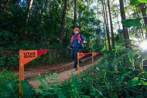 BIB: 
                            <button type="button" onclick="openModal(26625275)" class="btn btn-primary btn-sm float-right btn-popup" data-toggle="modal" data-target=".modal-high-quality">
                        <i class="fas fa-shopping-cart"></i> Add to Cart
                    </button>
                                            <button type="button" onclick="isThisMe(26625275, true)" class="btn btn-success btn-sm float-right btn-popup btn-isme hidden" data-toggle="tooltip" data-placement="bottom" title="นี่คือรูปของคุณใช่ไหม คลิกที่นี่เพื่อเอาเข้าอัลบั้ม">
                        <i class="fas fa-plus"></i> Add to album
                    </button>
                    <button type="button" onclick="isThisMe(26625275, false)" class="btn btn-warning btn-sm float-right btn-popup btn-isnotme hidden">
                        <i class="fas fa-ban"></i> Remove from album
                    </button>