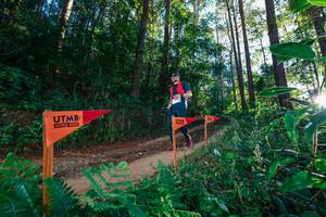 BIB: 
                            <button type="button" onclick="openModal(26625265)" class="btn btn-primary btn-sm float-right btn-popup" data-toggle="modal" data-target=".modal-high-quality">
                        <i class="fas fa-shopping-cart"></i> Add to Cart
                    </button>
                                            <button type="button" onclick="isThisMe(26625265, true)" class="btn btn-success btn-sm float-right btn-popup btn-isme hidden" data-toggle="tooltip" data-placement="bottom" title="นี่คือรูปของคุณใช่ไหม คลิกที่นี่เพื่อเอาเข้าอัลบั้ม">
                        <i class="fas fa-plus"></i> Add to album
                    </button>
                    <button type="button" onclick="isThisMe(26625265, false)" class="btn btn-warning btn-sm float-right btn-popup btn-isnotme hidden">
                        <i class="fas fa-ban"></i> Remove from album
                    </button>